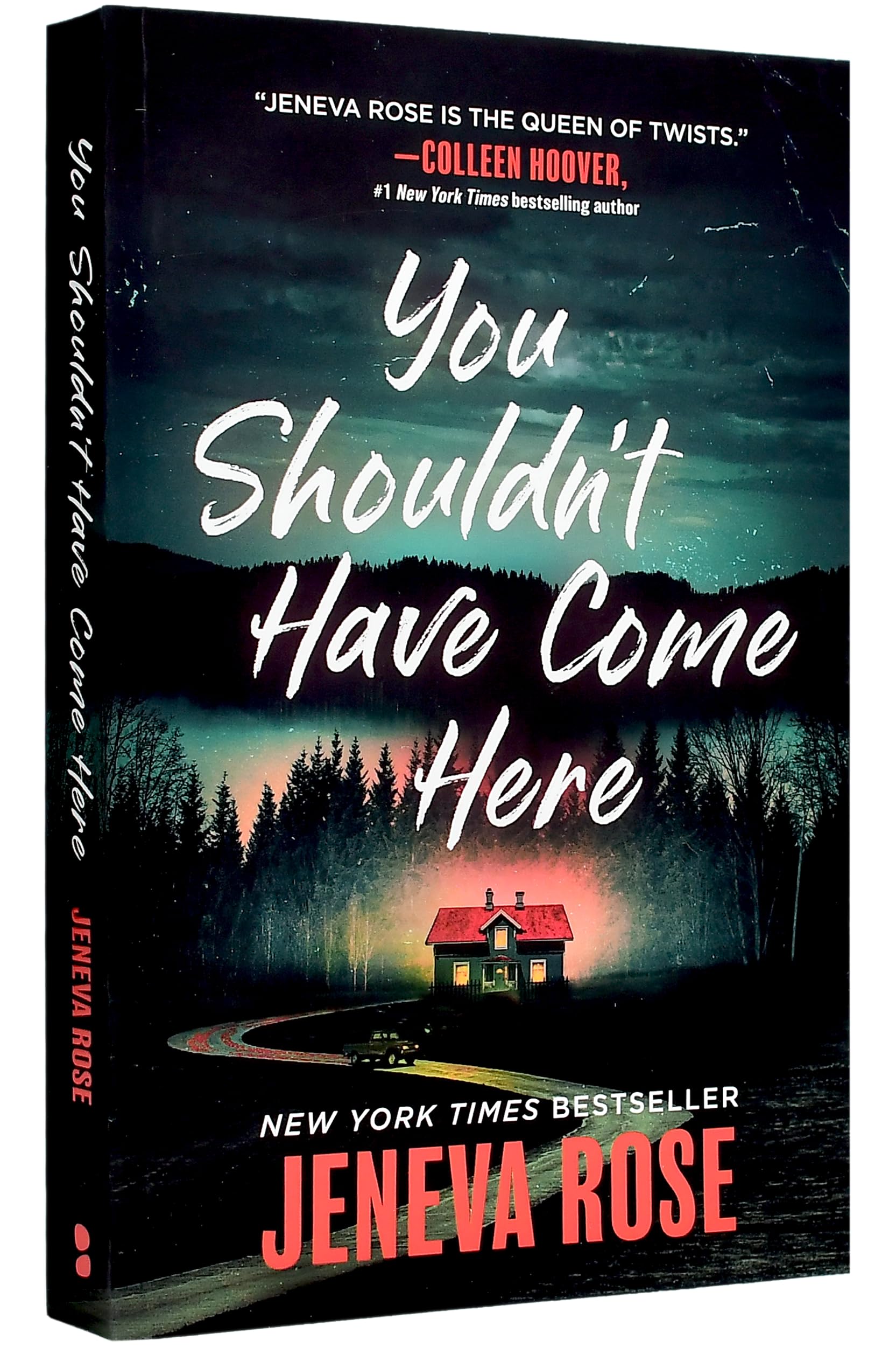 You Shouldn't Have Come Here by Rose, Jeneva