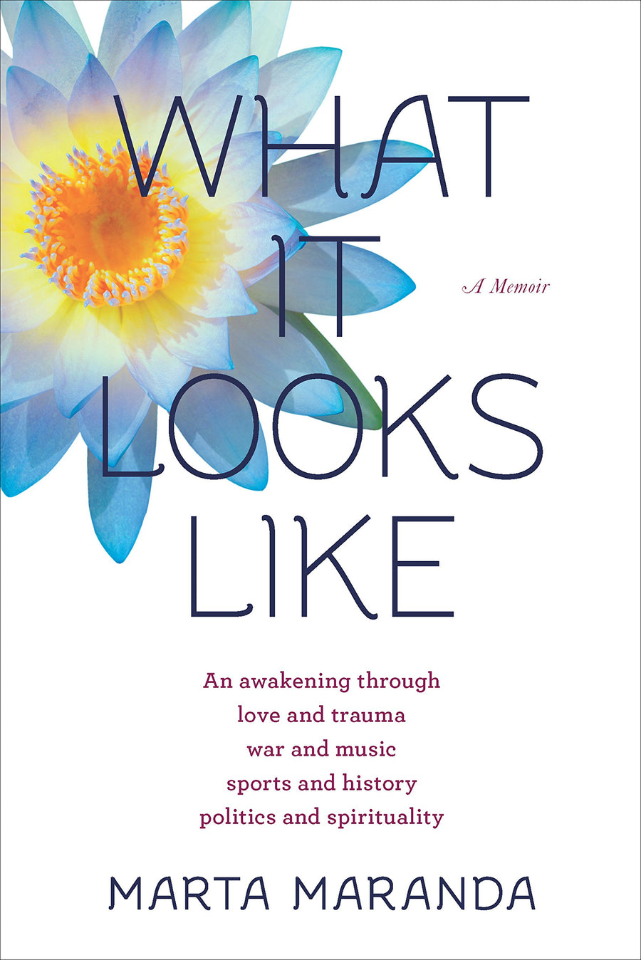 Used - Very Good | What It Looks Like: An Awakening Through Love and Trauma, War and Music, Sports and History, Politics and Spirituality -- Marta Maranda, Paperback