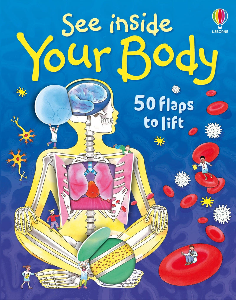 See Inside Your Body by Daynes, Katie