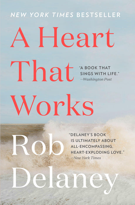 A Heart That Works -- Rob Delaney, Paperback