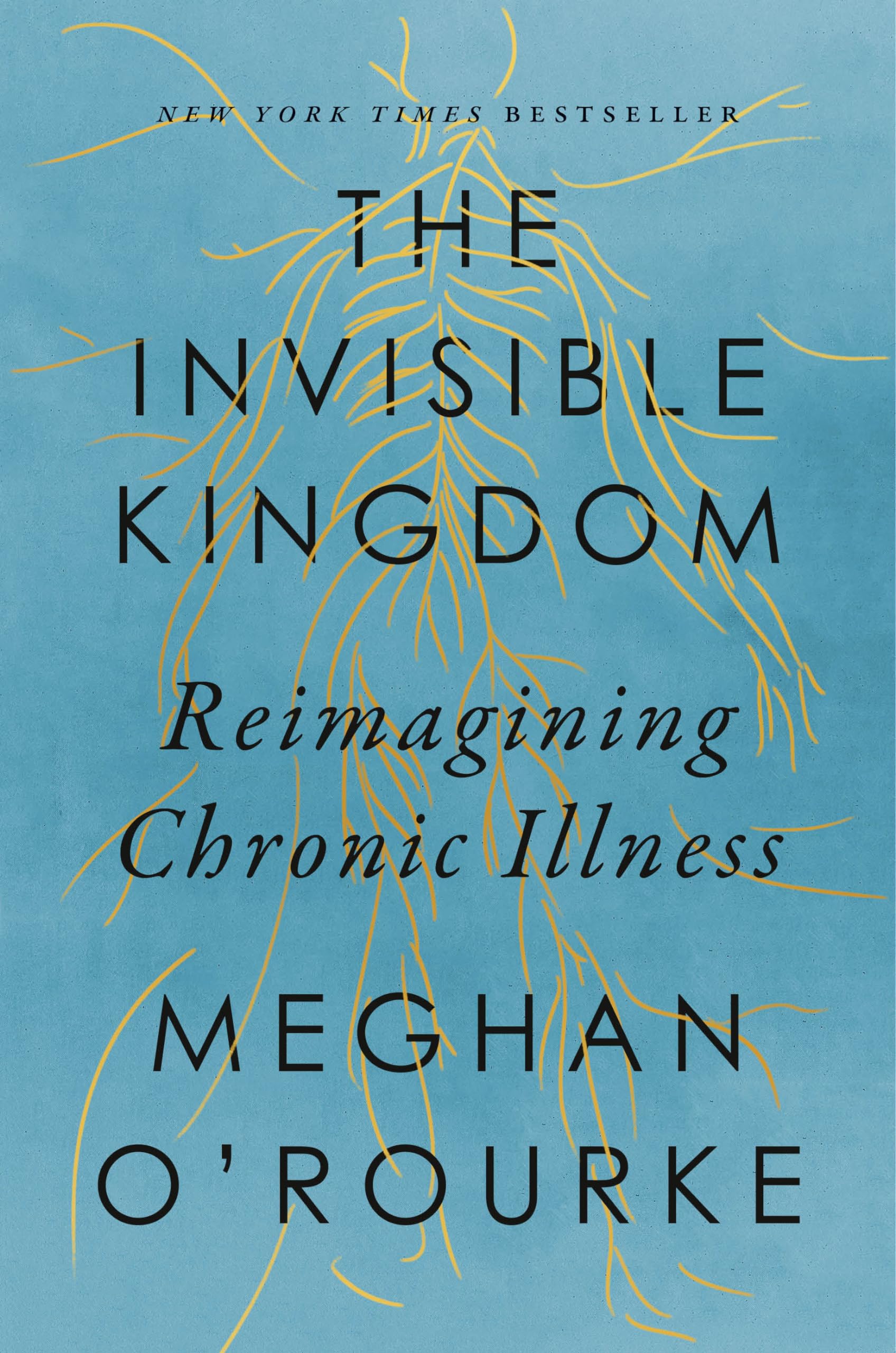 The Invisible Kingdom: Reimagining Chronic Illness by O'Rourke, Meghan