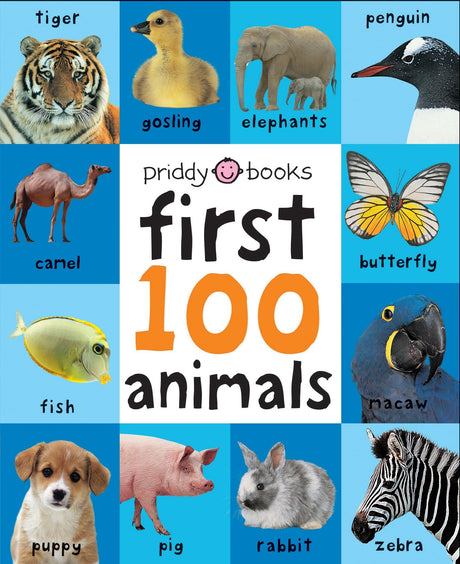 First 100 Big Board: Animals: In the Bestselling First 100 Series -- Roger Priddy, Board Book