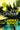 Camino Winds by Grisham, John