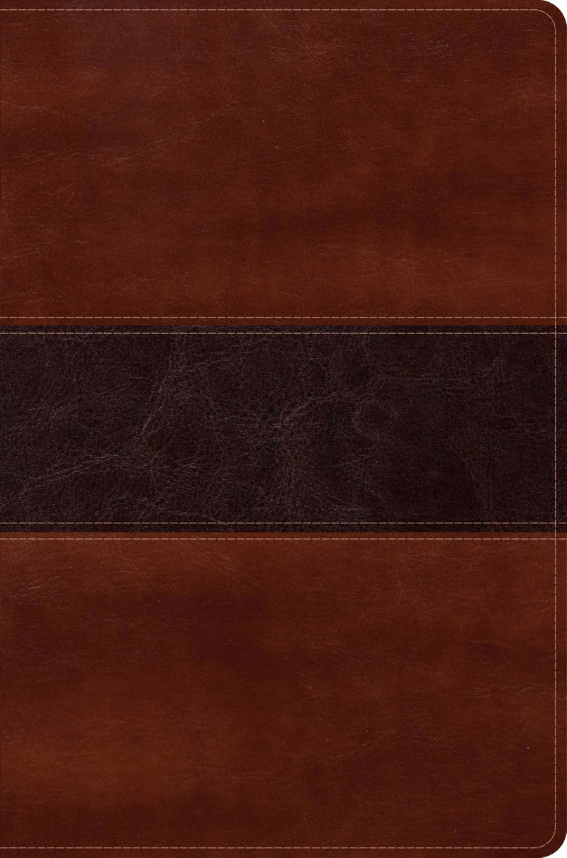 Rvr 1960 Biblia del Pescador Letra Grande, Caoba Símil Piel by Díaz-Pabón, Luis Ángel