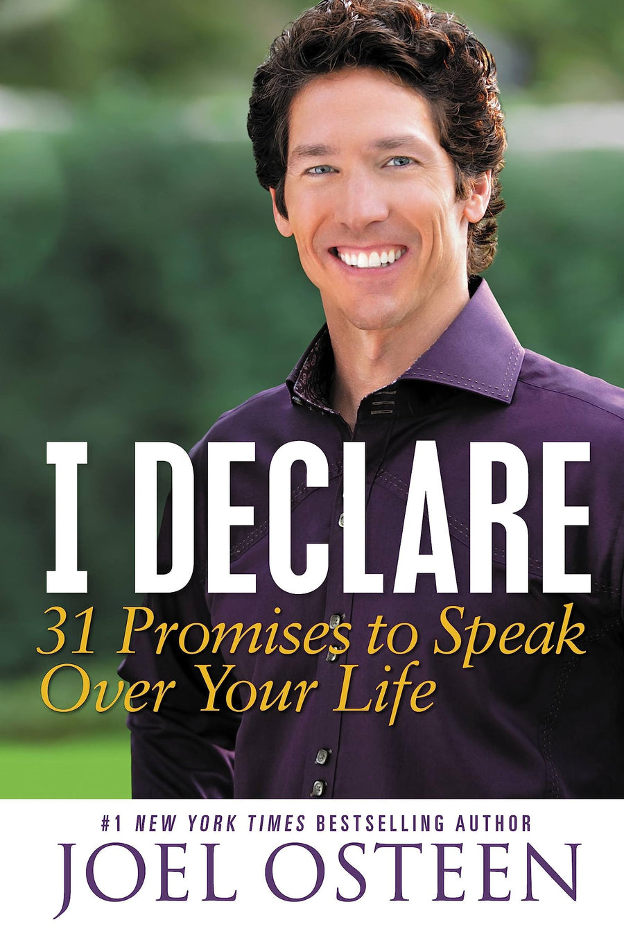 Used - Very Good | I Declare: 31 Promises to Speak Over Your Life -- Joel Osteen, Hardcover