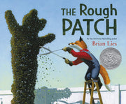 The Rough Patch by Lies, Brian