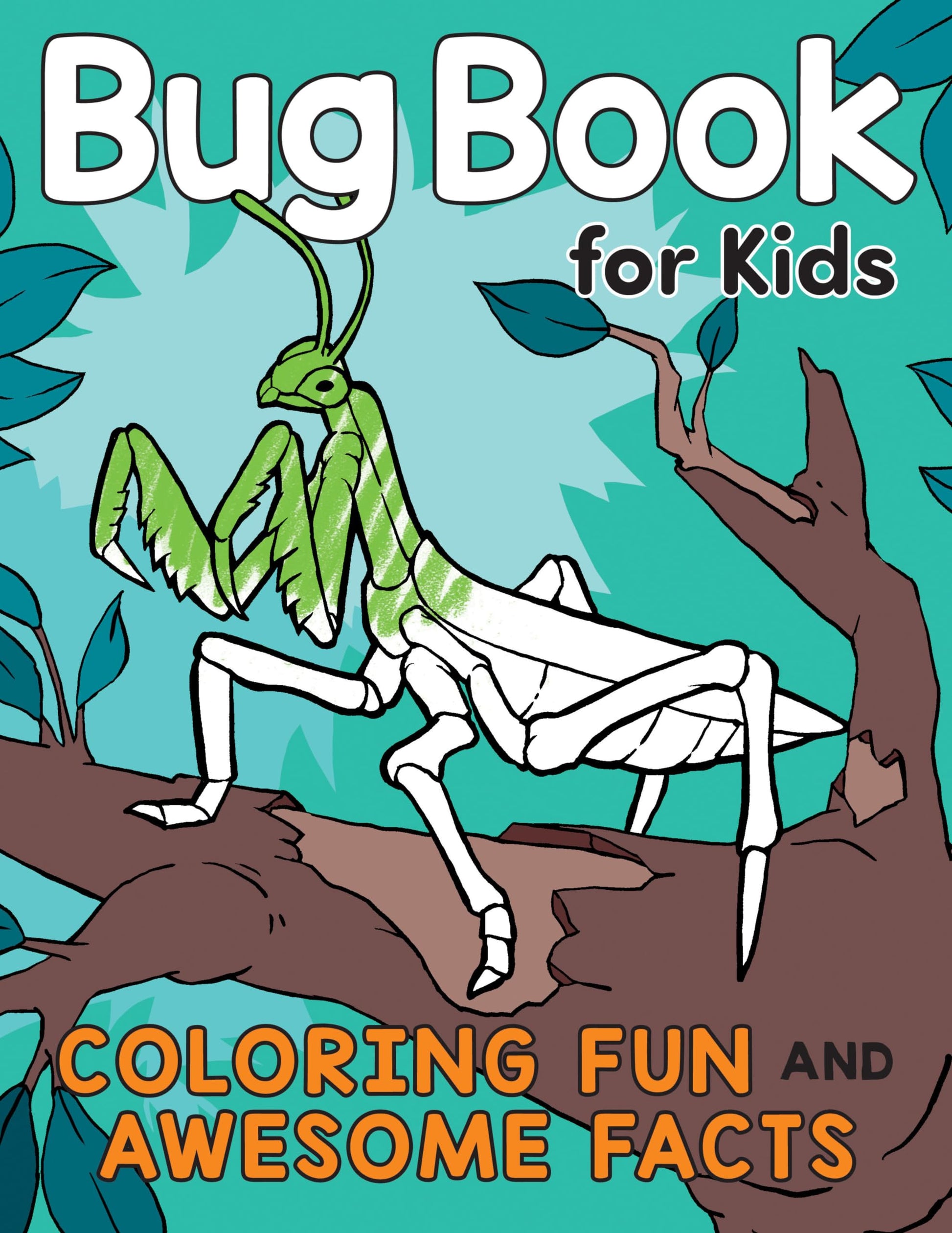 Bug Book for Kids: Coloring Fun and Awesome Facts -- Katie Henries-Meisner