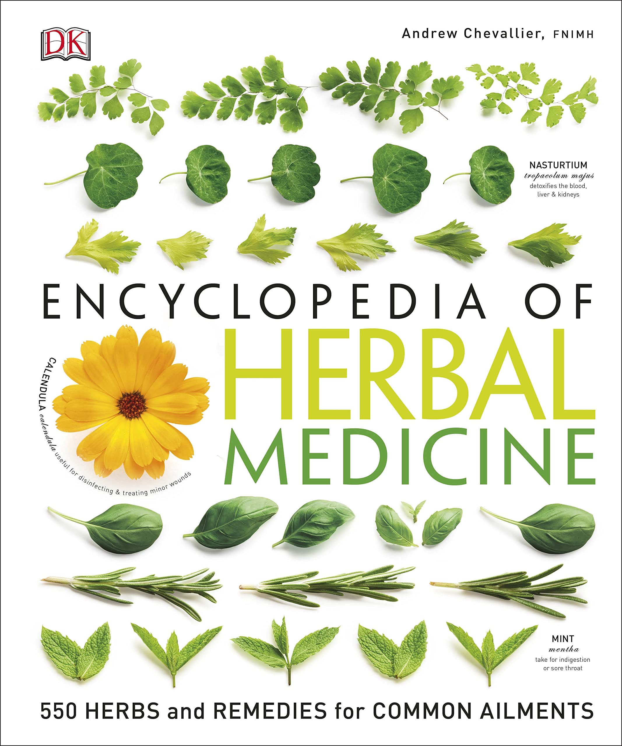 Ency of Herbal Medicine 3/E: 550 Herbs and Remedies for Common Ailments by Chevallier, Andrew
