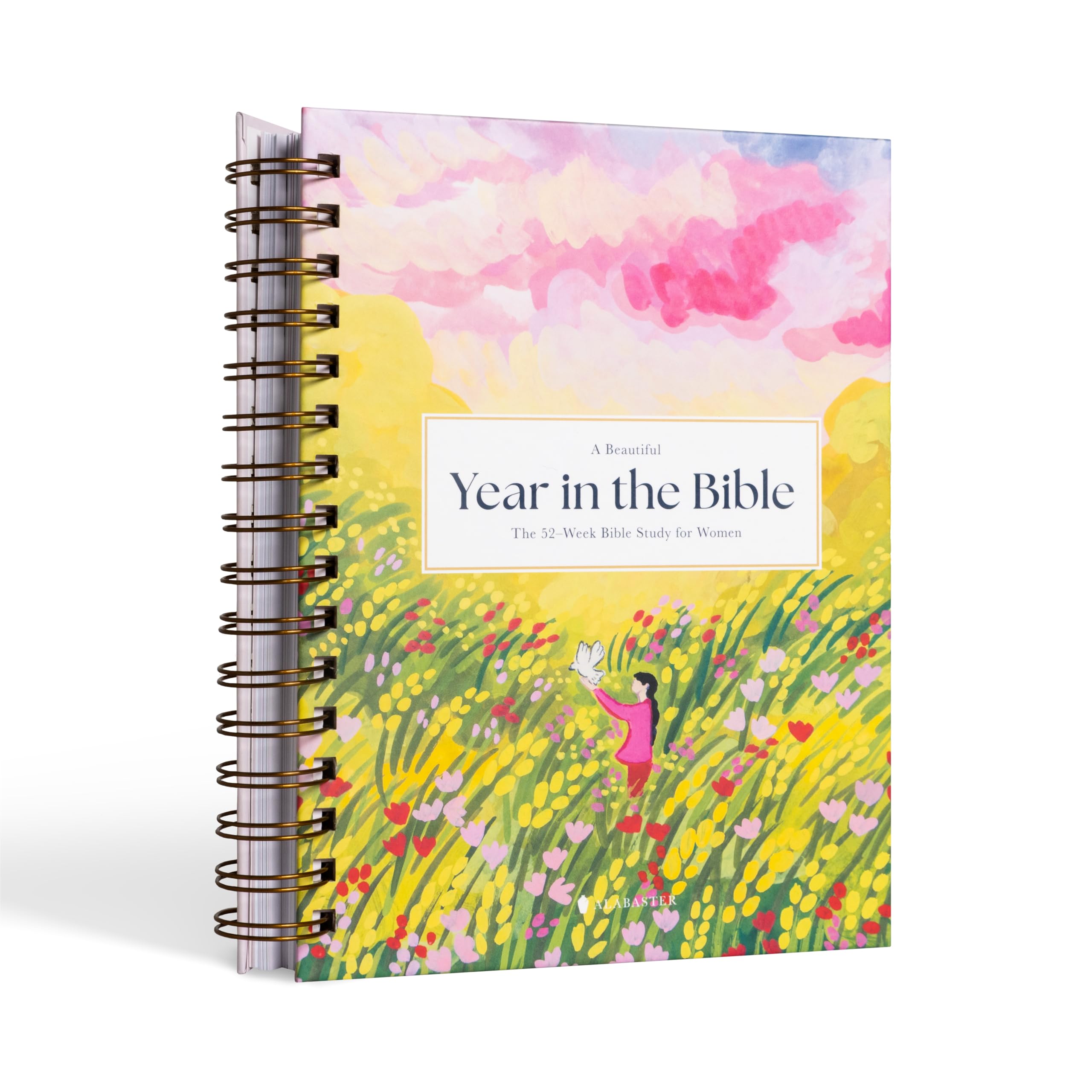 Beautiful Year in the Bible: The 52-Week Bible Study for Women (Sb) by Inc Alabaster Creative