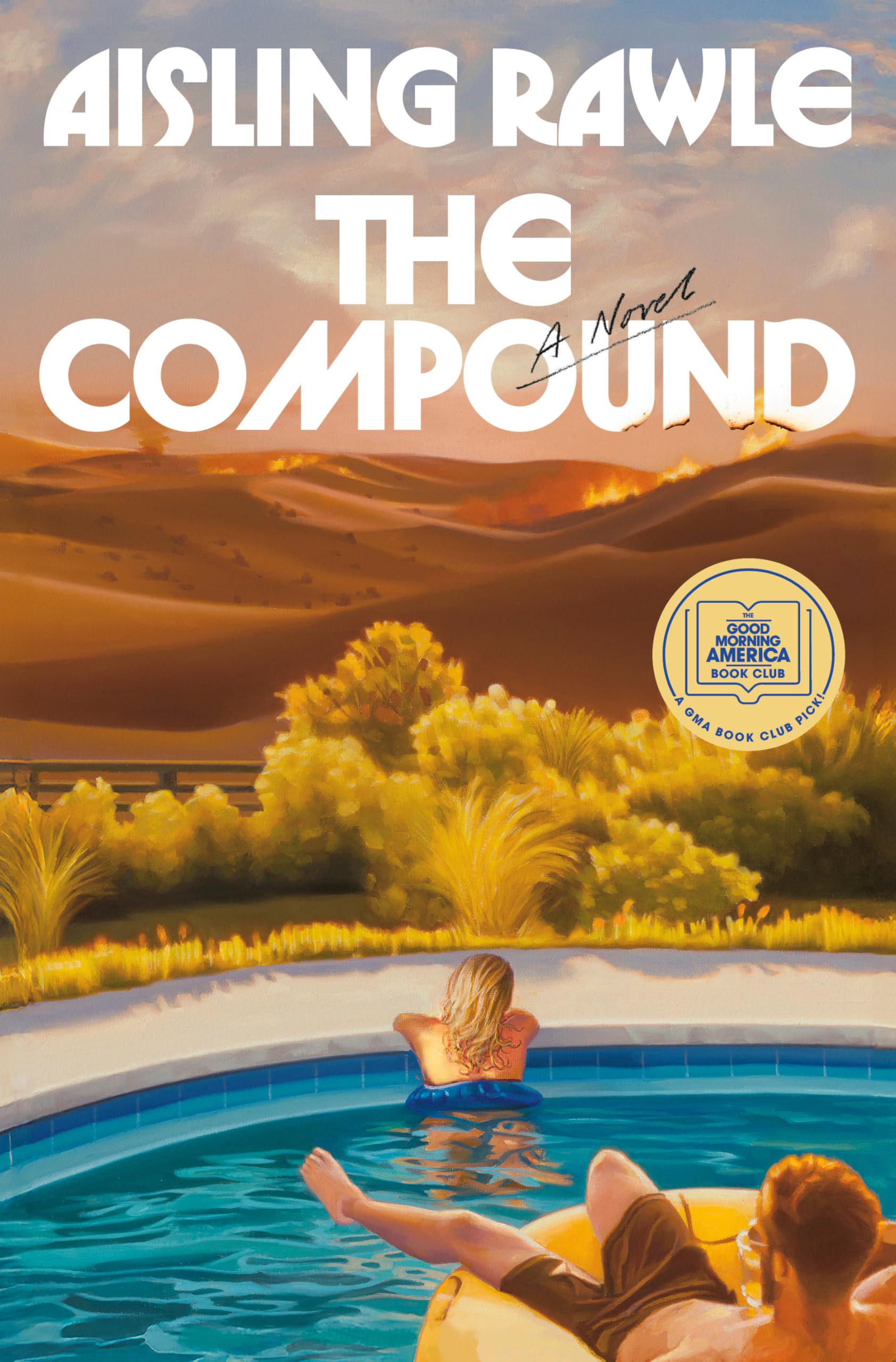 The Compound by Rawle, Aisling