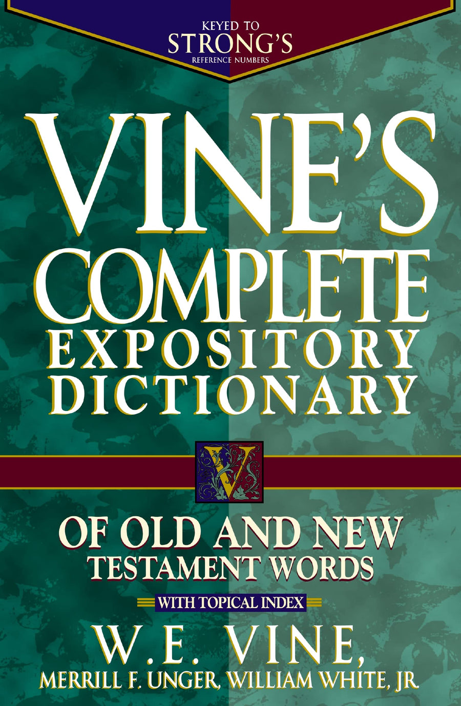 Vine's Complete Expository Dictionary of Old and New Testament Words: Super Value Edition -- W. E. Vine, Bible