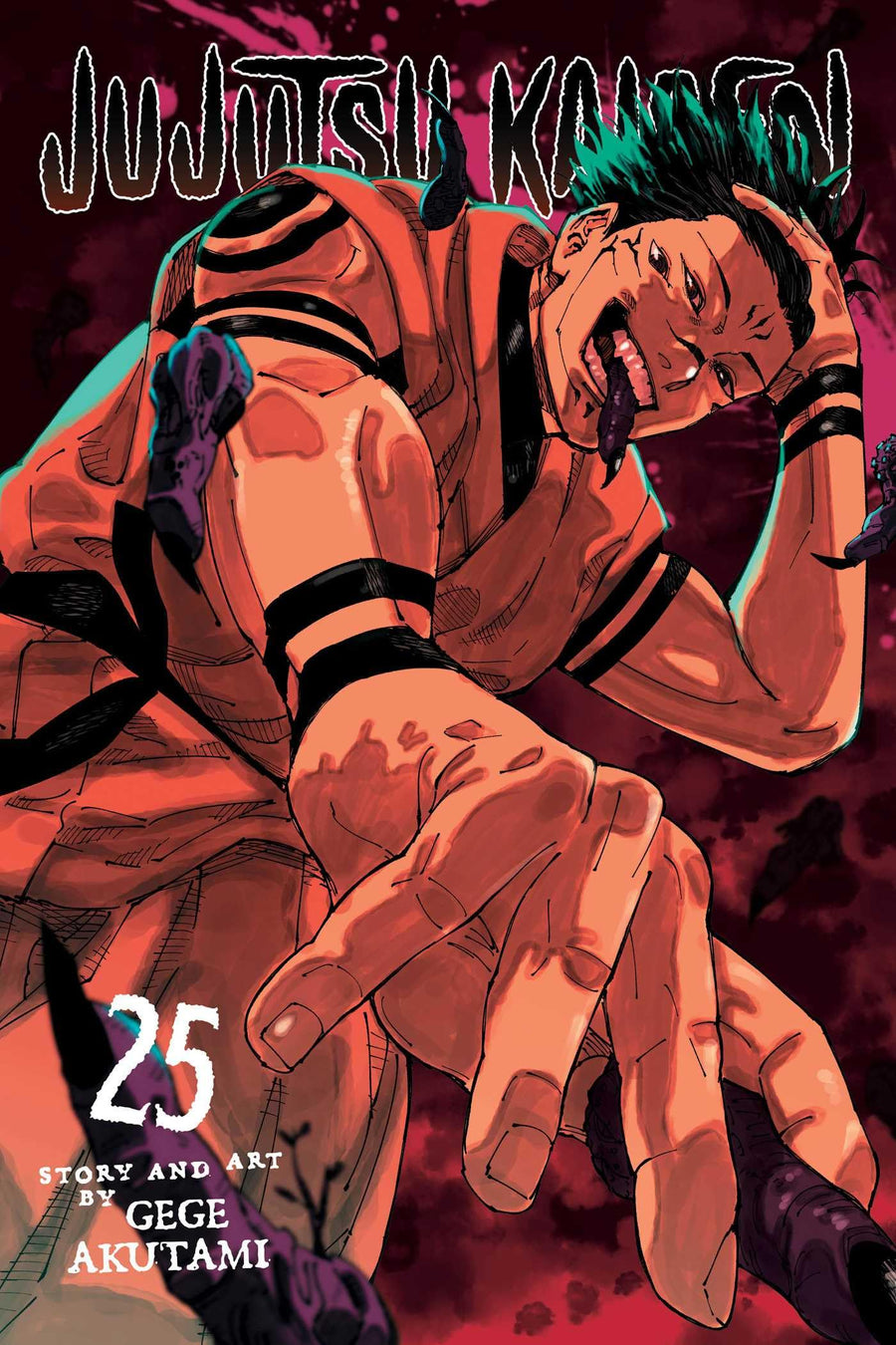 Jujutsu Kaisen, Vol. 25 -- Gege Akutami, Paperback