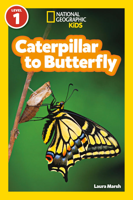 Caterpillar to Butterfly (National Geographic Kids Readers, Level 1) -- Laura Marsh, Paperback
