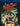 Tucker & Dale Vs. Evil - Mill Creek Dvd