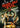Tucker & Dale Vs Evil Dvd