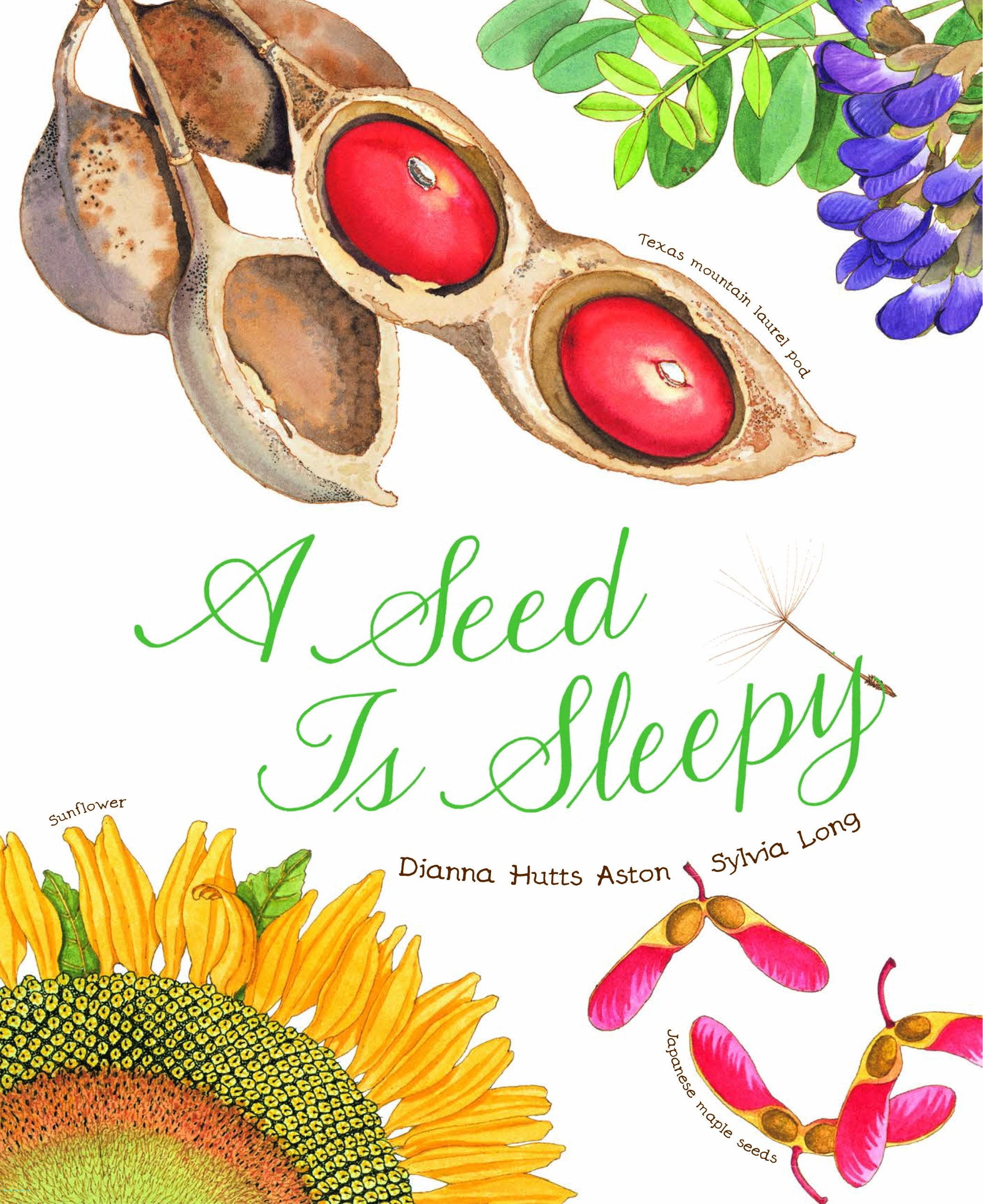 A Seed Is Sleepy: (Nature Books for Kids, Environmental Science for Kids) by Aston, Dianna