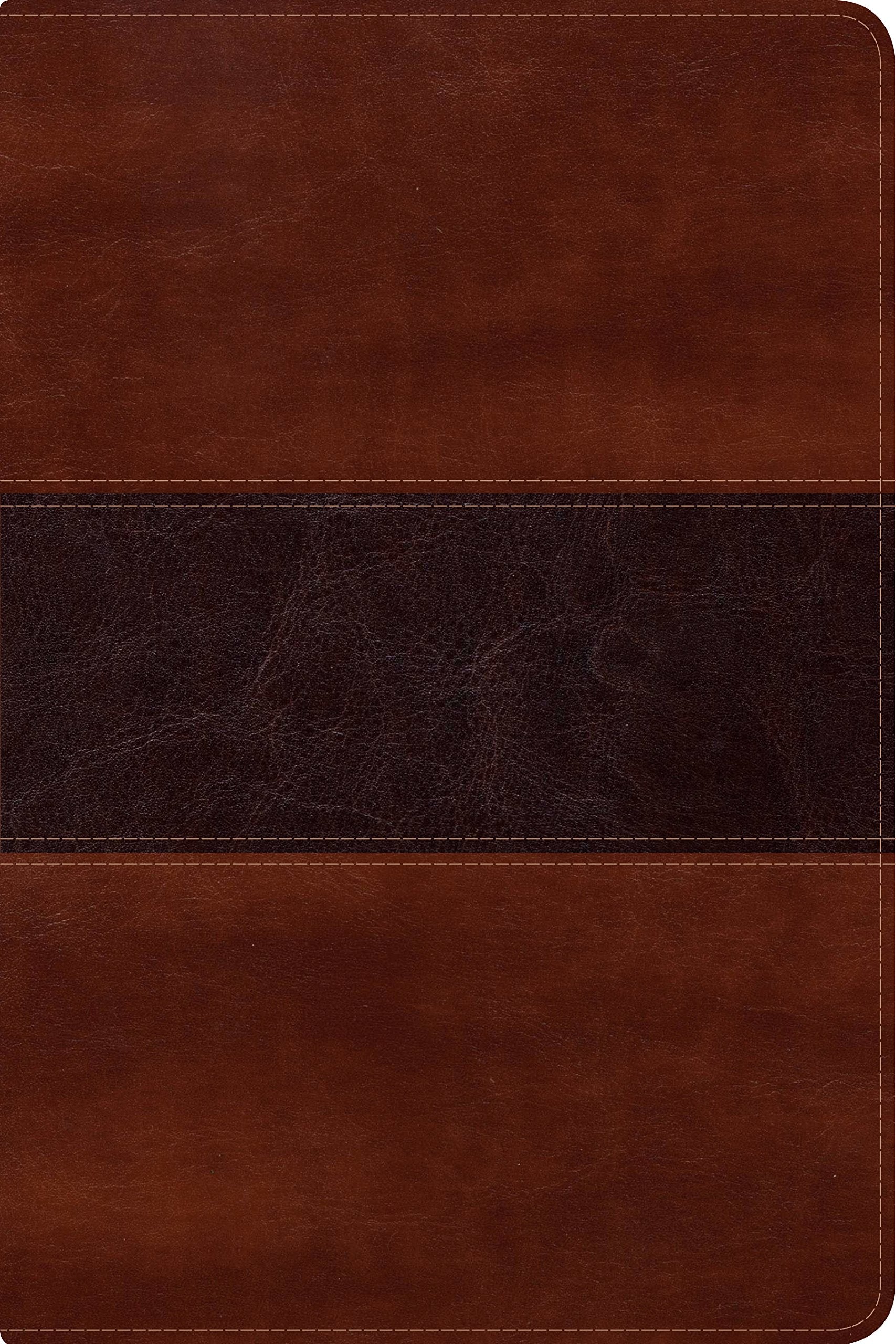 Rvr 1960 Biblia del Pescador Letra Grande, Caoba Símil Piel by Díaz-Pabón, Luis Ángel