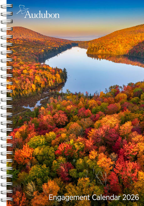 Audubon Engagement Calendar 2026: A Tribute to Nature and Its Spectacular Landscapes -- Workman Calendars, Desk