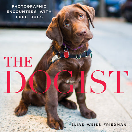 The Dogist: Photographic Encounters with 1,000 Dogs -- Elias Weiss Friedman, Hardcover