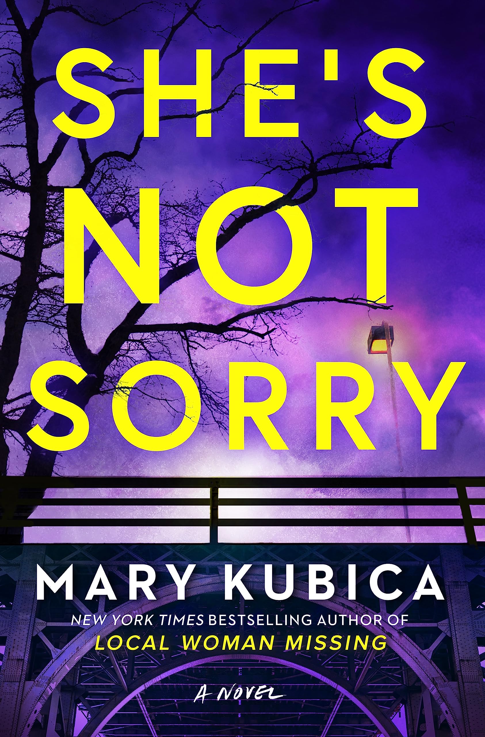 She's Not Sorry: A Psychological Thriller by Kubica, Mary