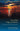 The Wild Edge of Sorrow: Rituals of Renewal and the Sacred Work of Grief by Weller, Francis