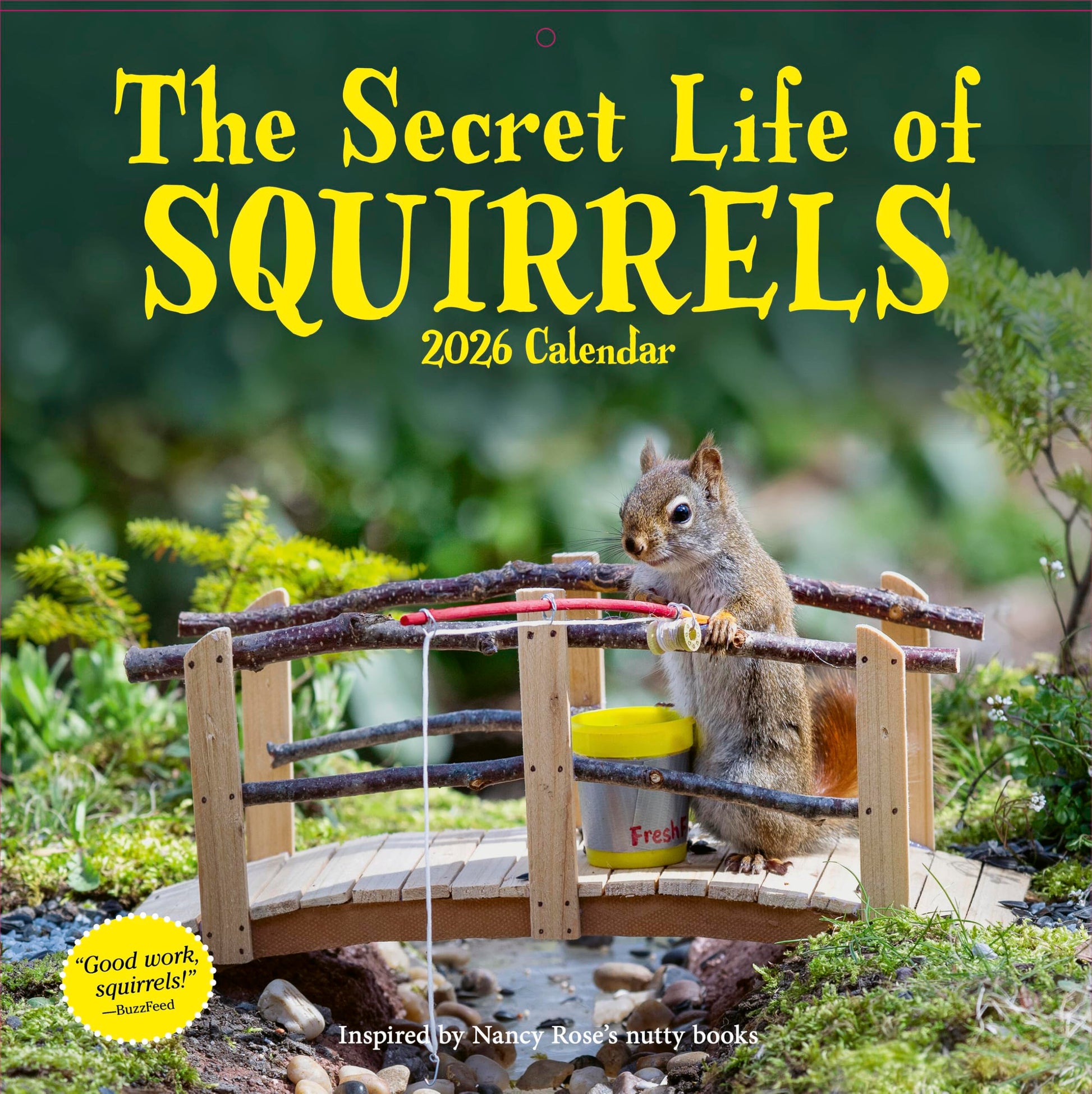 Secret Life of Squirrels Wall Calendar 2026 by Rose, Nancy