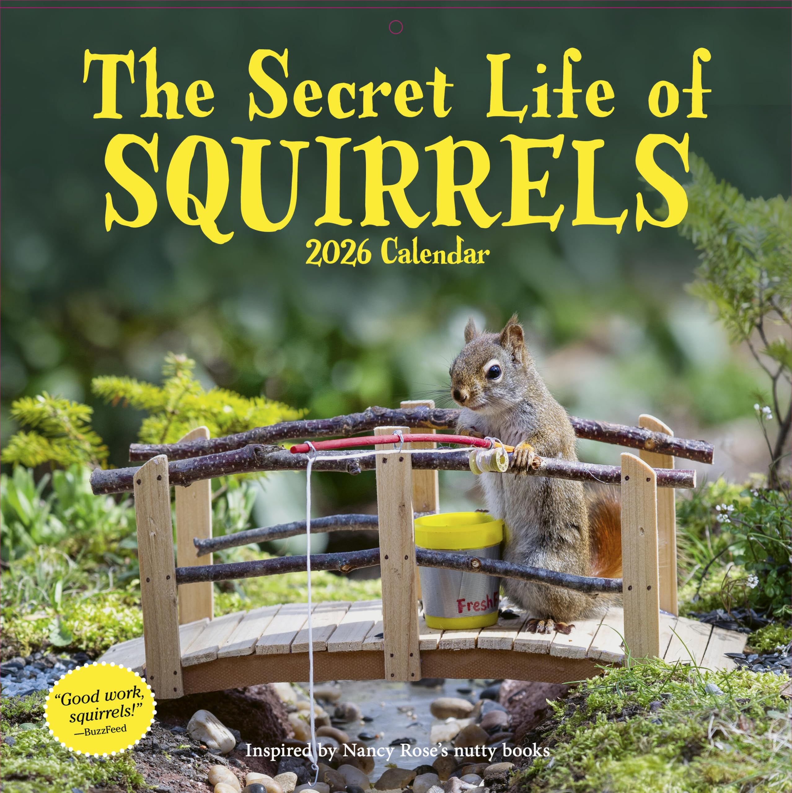 Secret Life of Squirrels Wall Calendar 2026 by Rose, Nancy