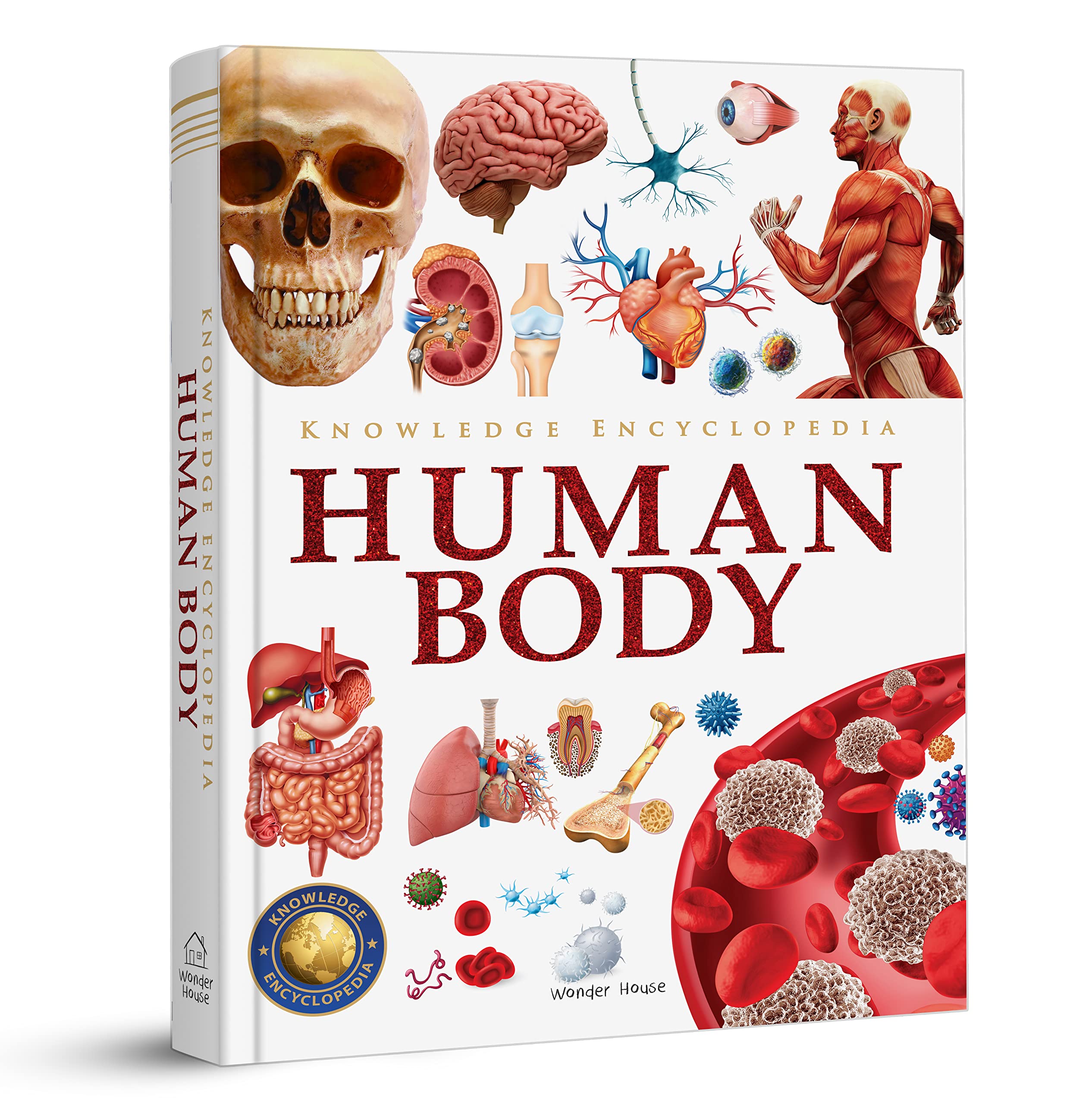 Knowledge Encyclopedia: Human Body by Wonder House Books