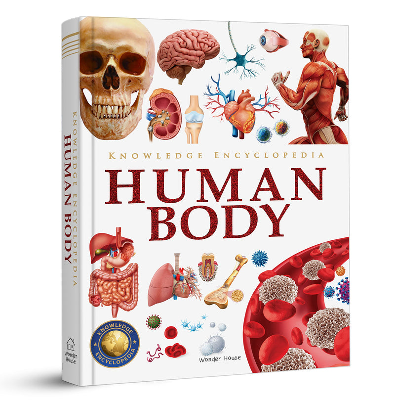 Knowledge Encyclopedia: Human Body by Wonder House Books