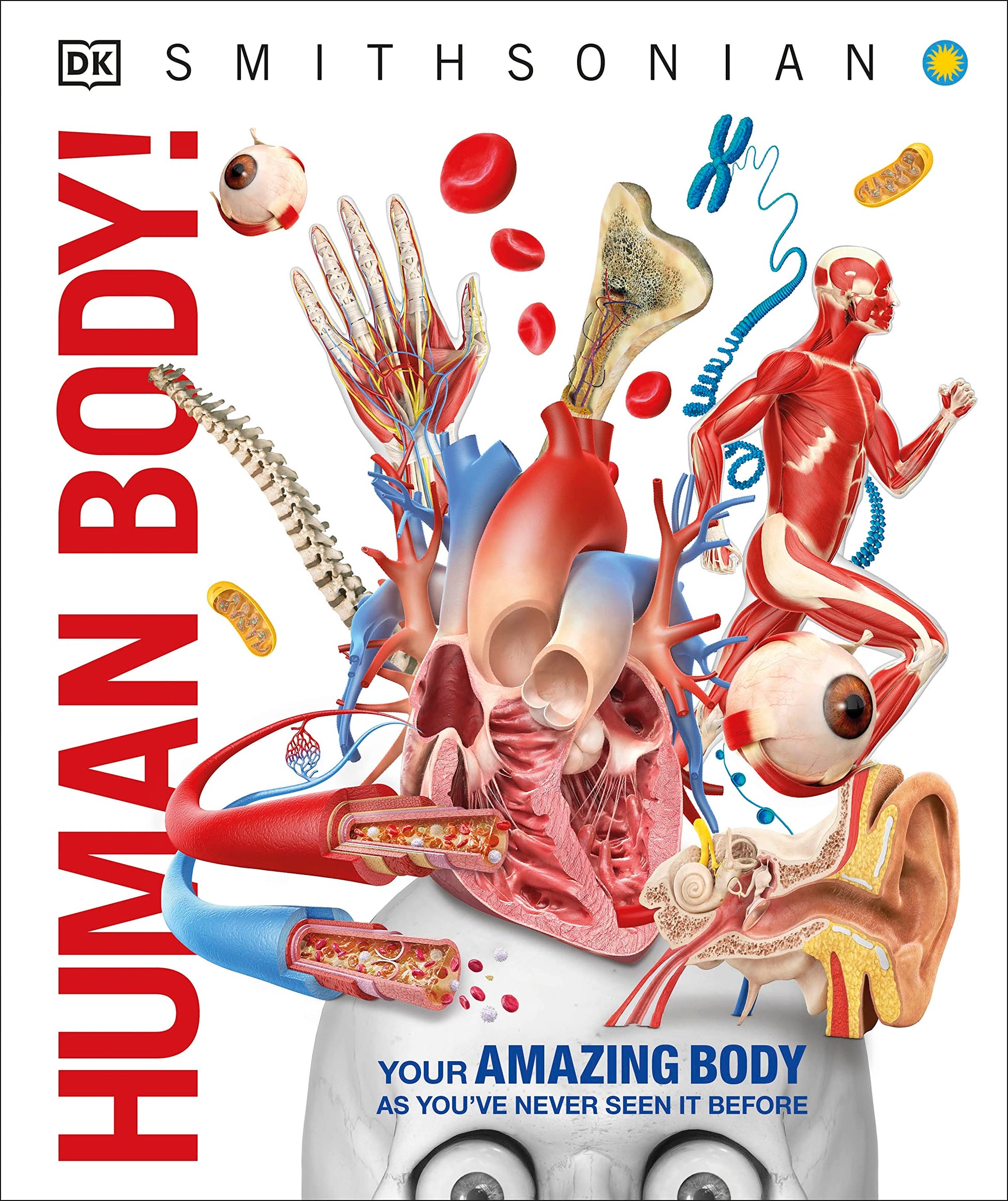 Human Body! by DK