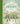 We Are the Gardeners by Gaines, Joanna