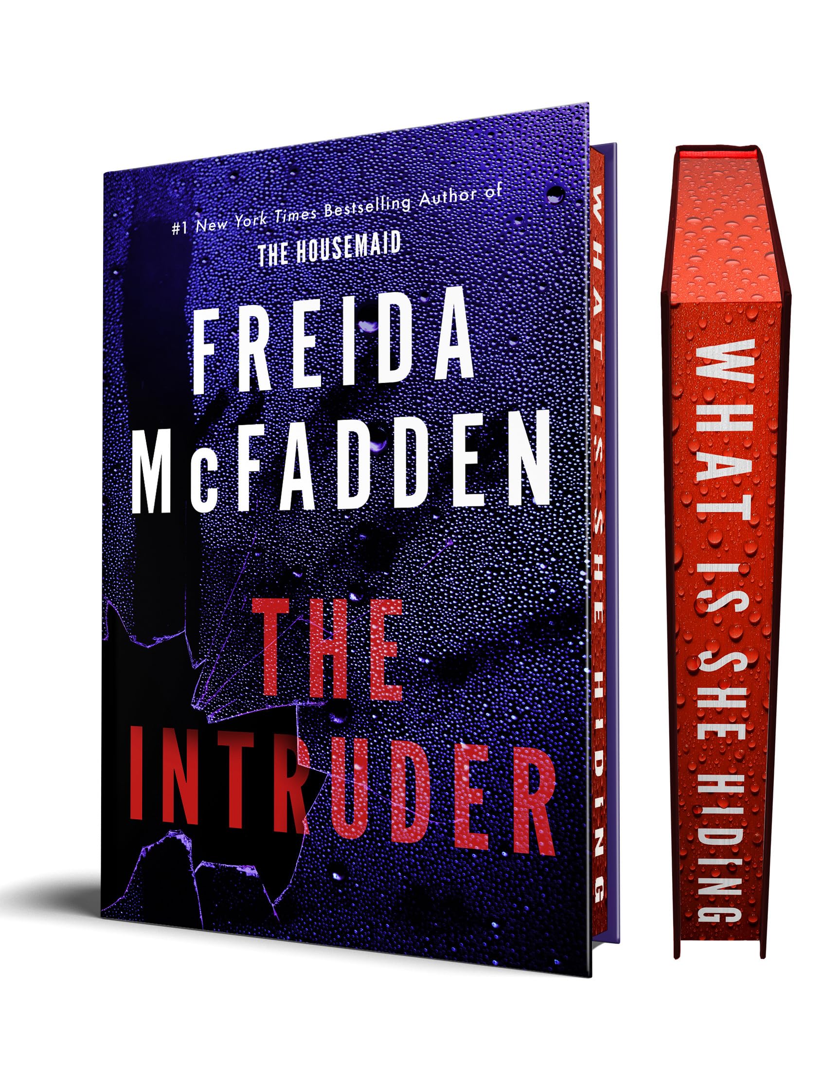The Intruder by McFadden, Freida