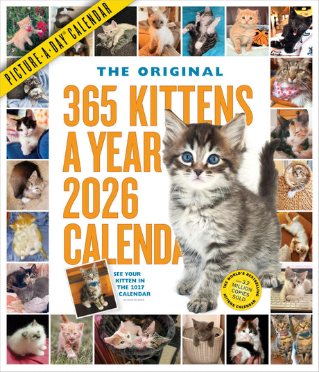 365 Kittens-A-Year Picture-A-Day(r) Wall Calendar 2026 -- Workman Publishing, Wall