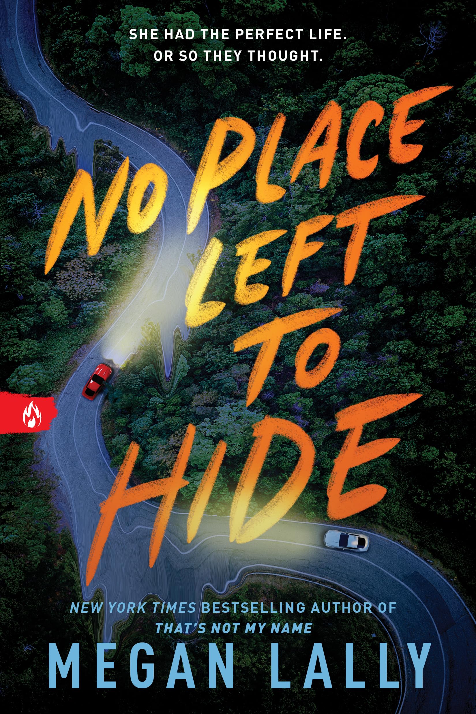 No Place Left to Hide by Lally, Megan