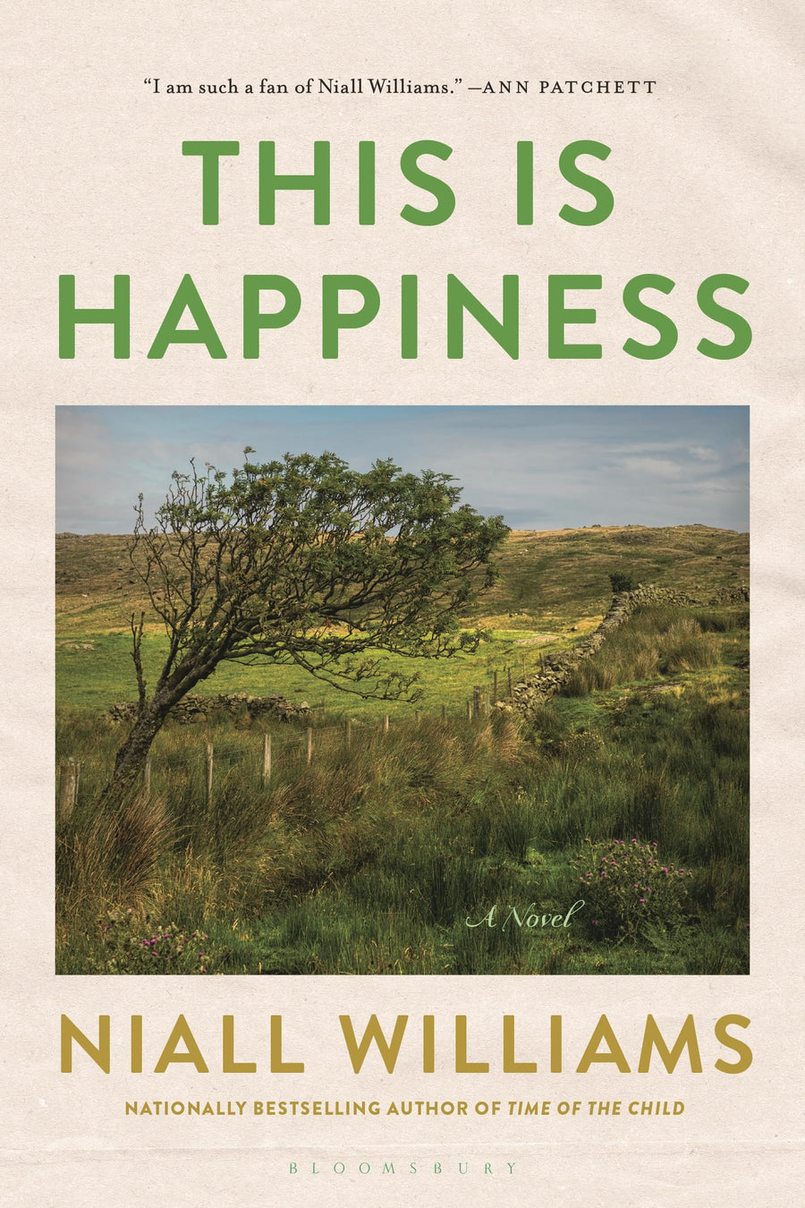 This Is Happiness -- Niall Williams, Paperback