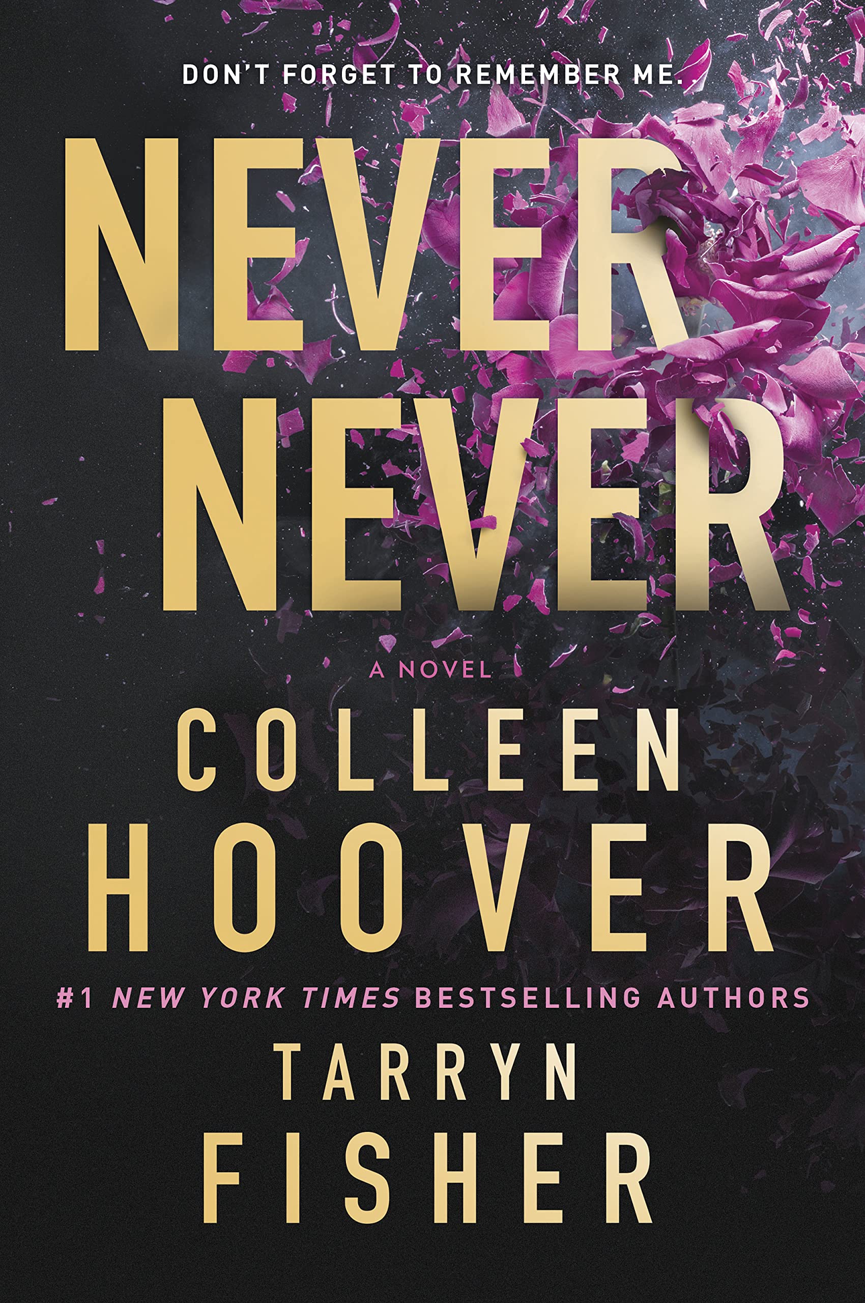 Never Never: A Twisty, Angsty Romance by Hoover, Colleen