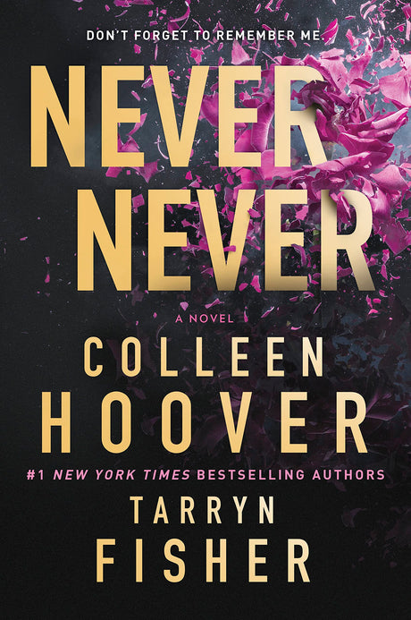 Never Never: A Romantic Suspense Novel of Love and Fate -- Colleen Hoover, Paperback