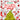 How the Grinch Stole Christmas! Coloring Book by Random House