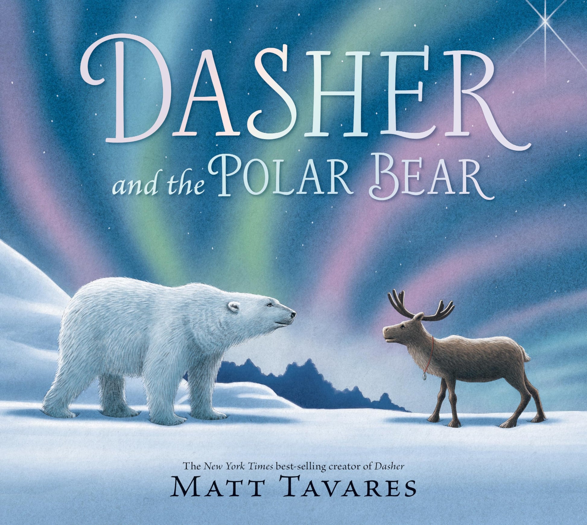Dasher and the Polar Bear by Tavares, Matt