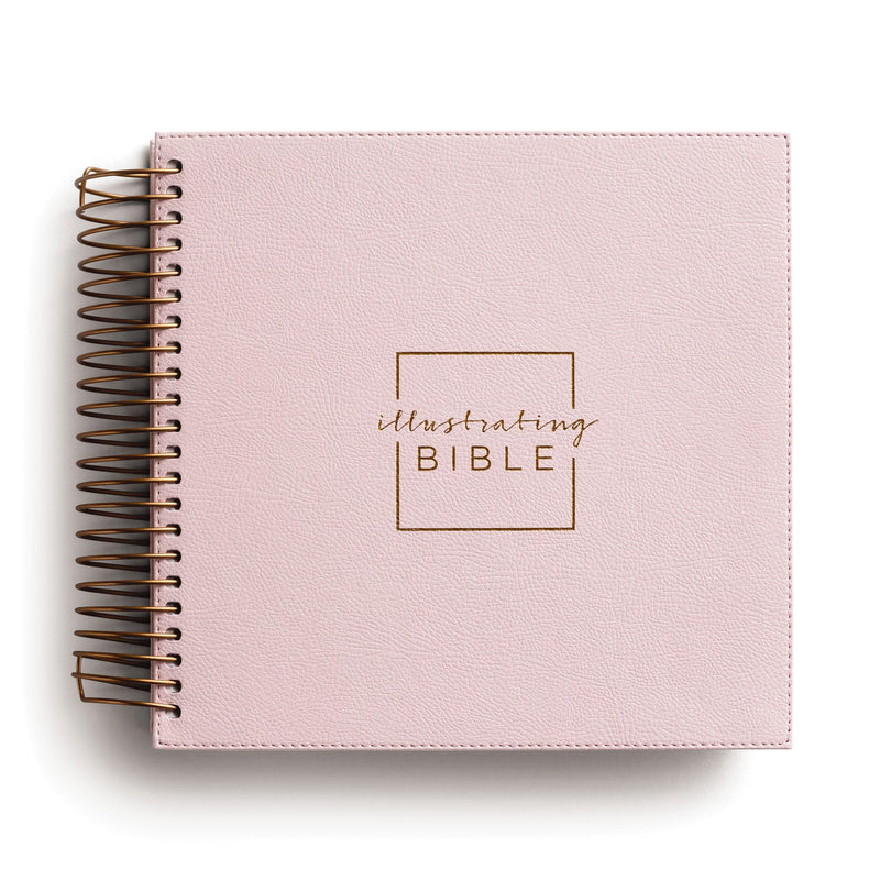 Illustrating Bible NIV Pink by Dayspring