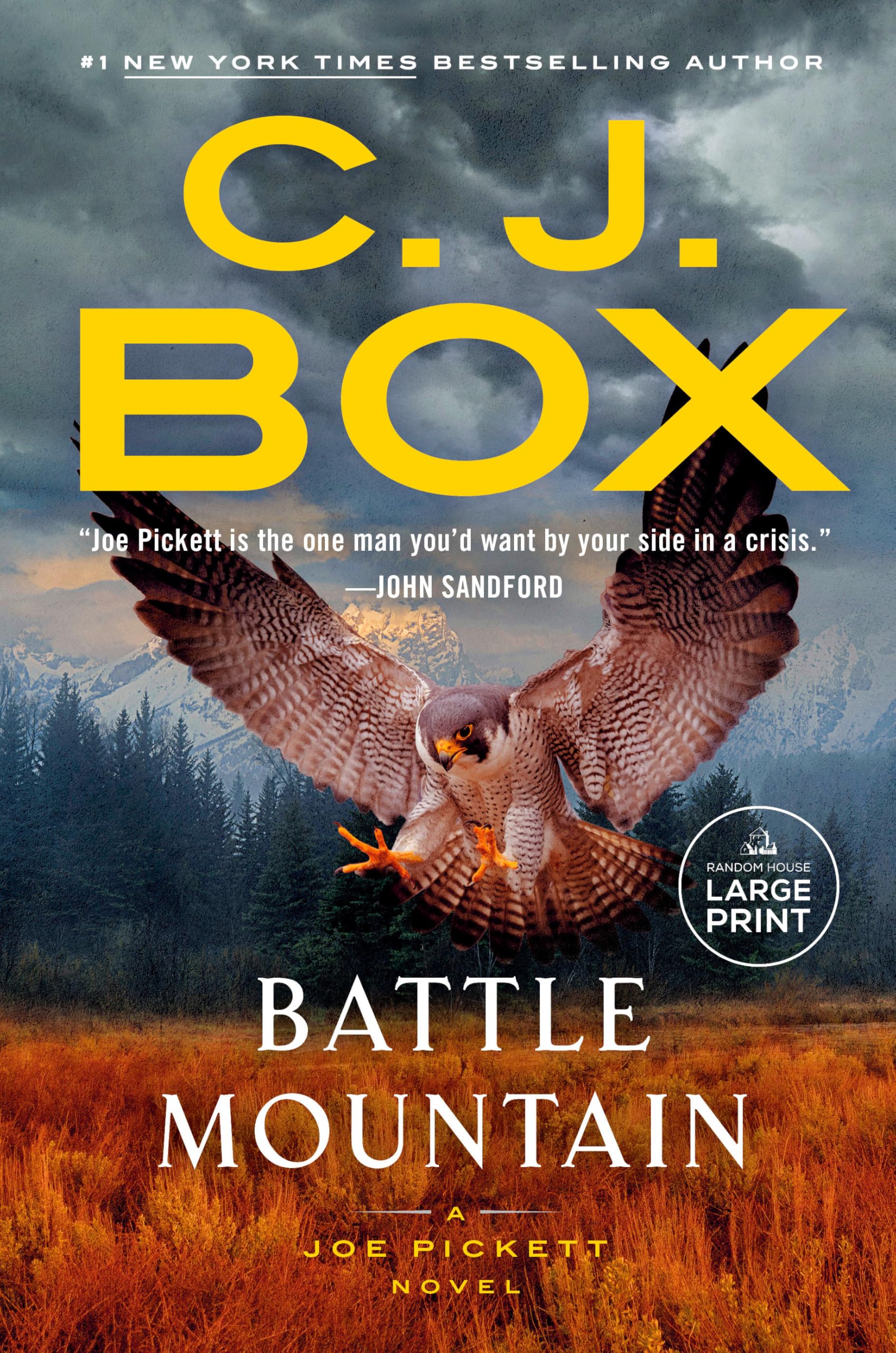 Battle Mountain by Box, C. J.