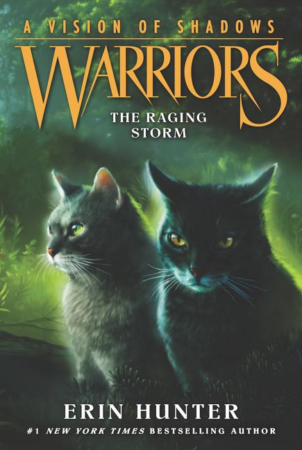 Warriors: A Vision of Shadows: The Raging Storm -- Erin Hunter, Paperback