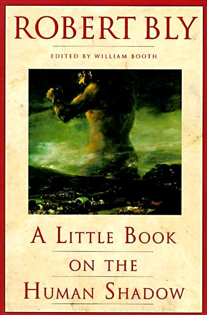 A Little Book on the Human Shadow -- Robert Bly, Paperback