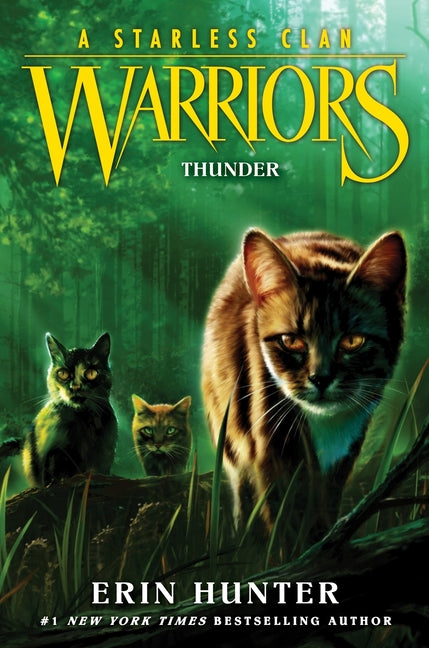 Warriors: A Starless Clan #4: Thunder -- Erin Hunter, Paperback