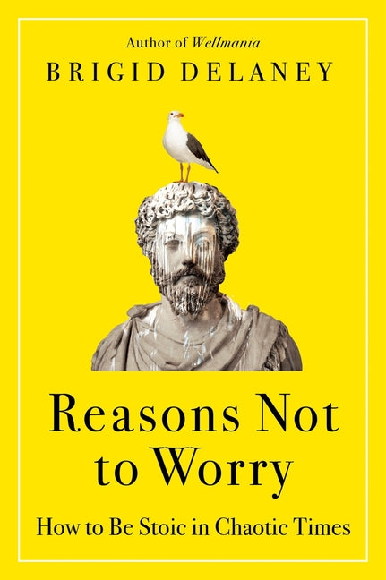 Reasons Not to Worry: How to Be Stoic in Chaotic Times -- Brigid Delaney, Paperback