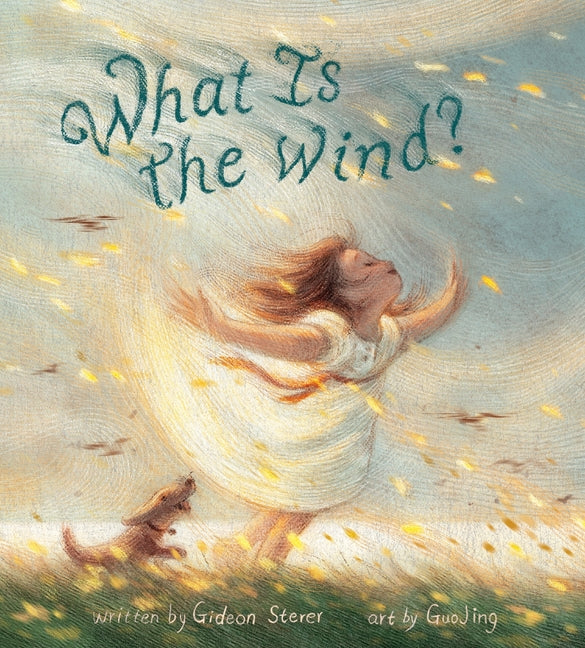 What Is the Wind? -- Gideon Sterer, Hardcover