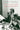 The Curse of the Appropriate Man by Freed, Lynn