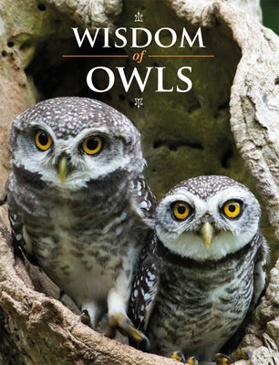 Wisdom of Owls -- Lisa Purcell, Hardcover