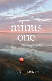 Minus One by Iarovici, Doris