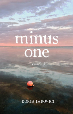 Minus One by Iarovici, Doris